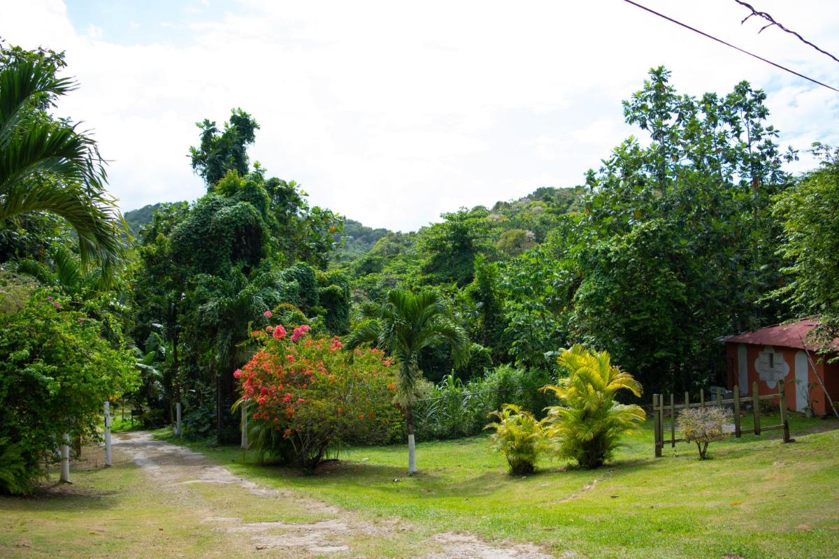 Sinopia Inn - Housity