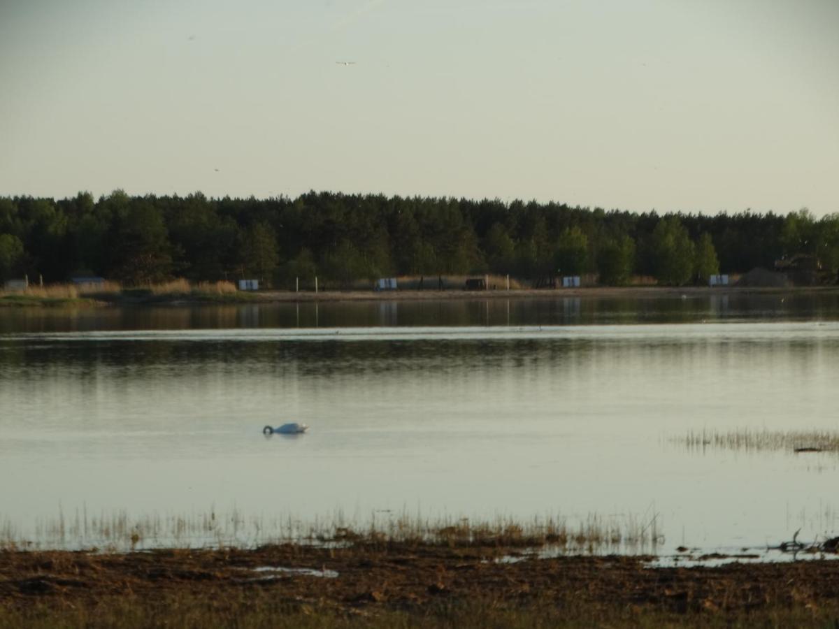 Mereääre - Housity