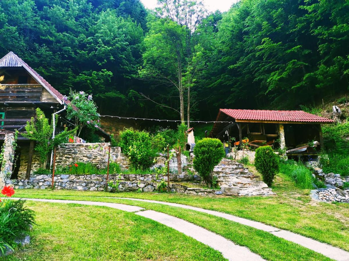 Casuta Bucuriei - Housity