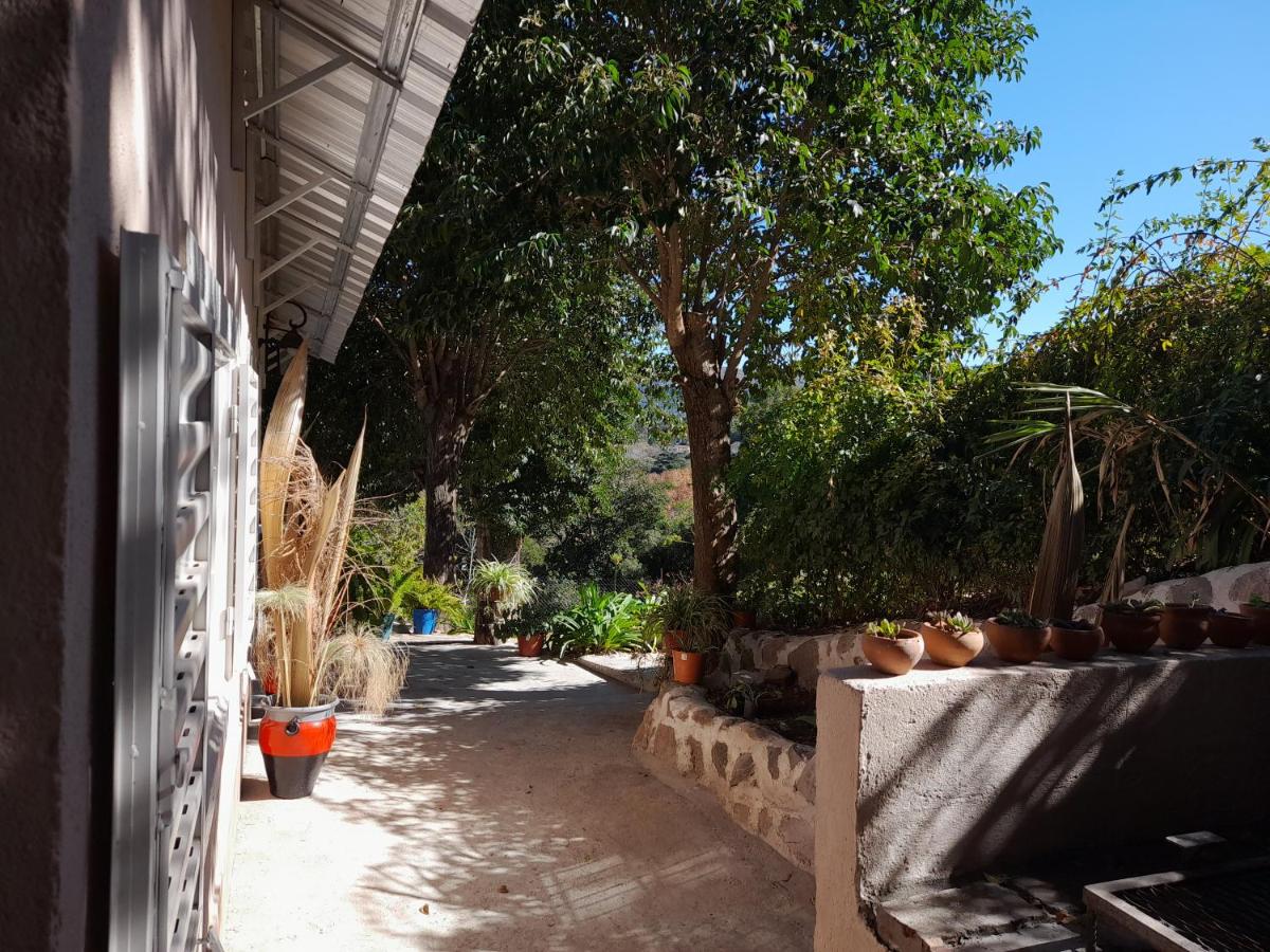 Maelipa - Housity