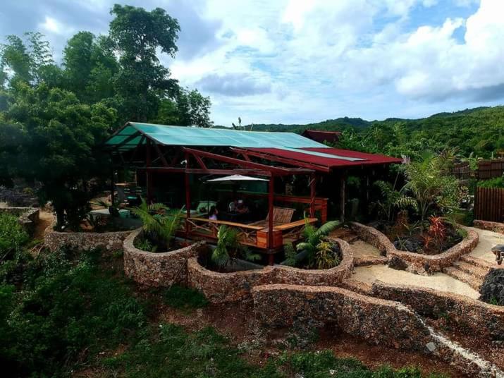 Jungle of peace - Housity