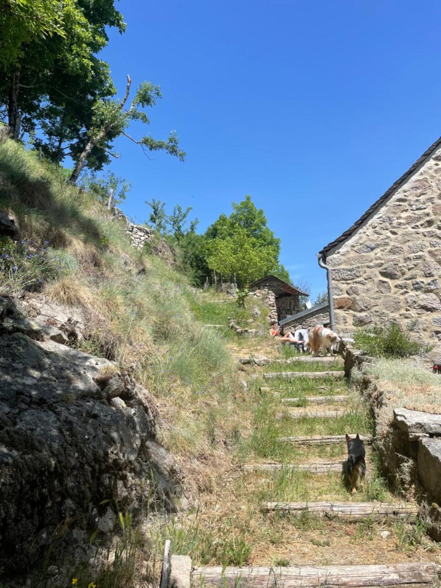 Gîte de la cascade - Housity