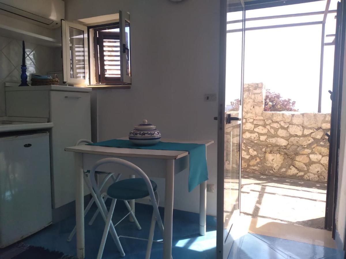 The Seaside Tiny House - Housity