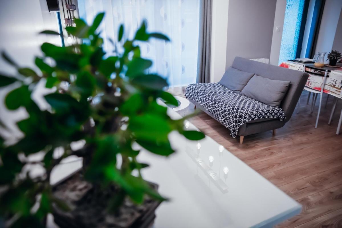 Suitetrails - Cosy et moderne en centre ville, fibre haut débit
