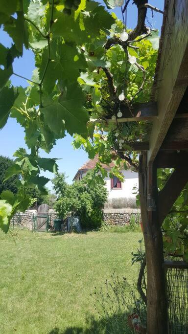 Les Éscuries. Four bedroom gîte near Montmorillon, Vienne 86. Cosy, peaceful, beautiful. - Housity