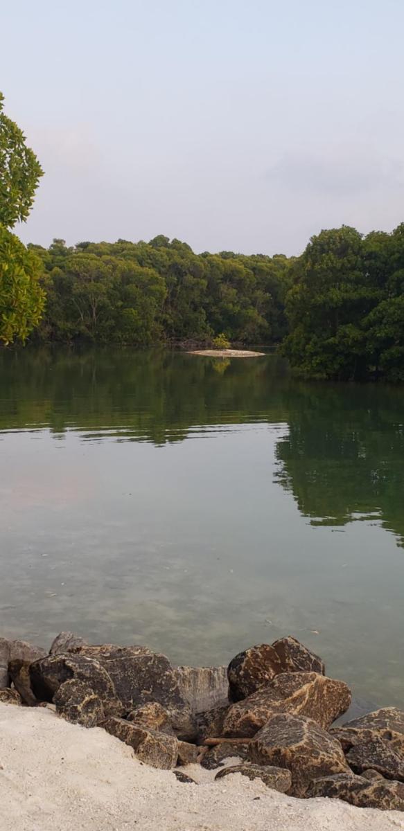 Mangrove Inn Hura - Housity