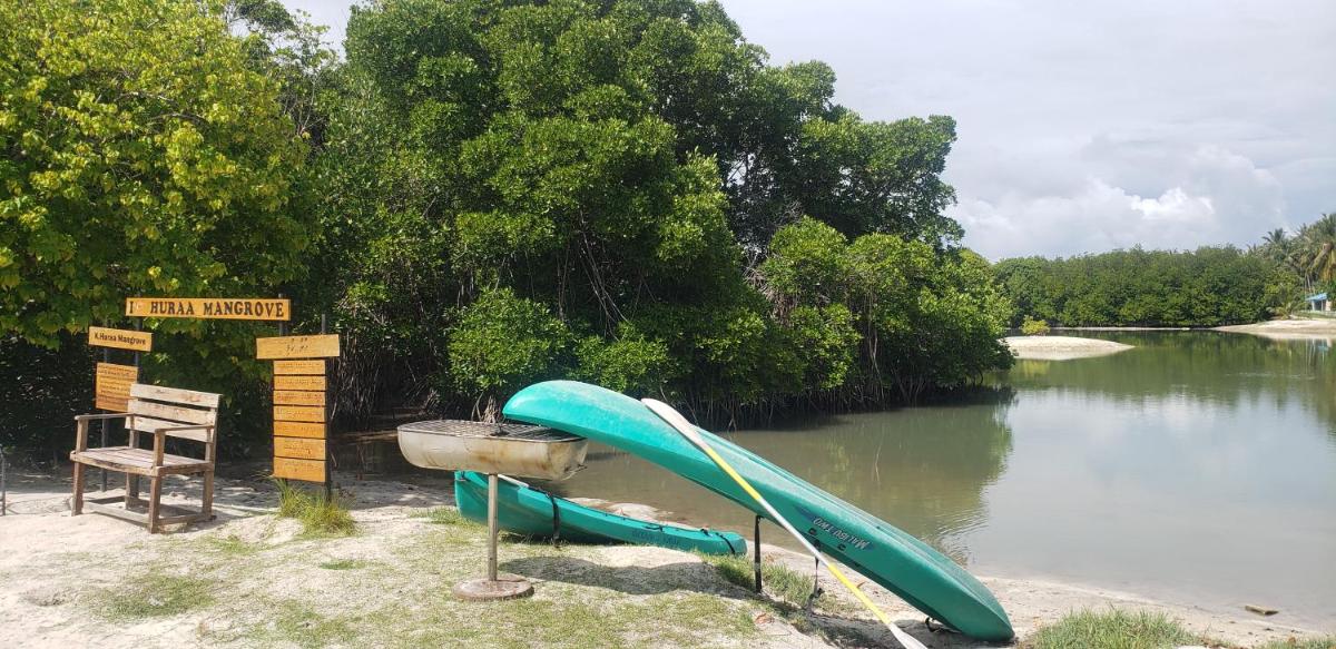 Mangrove Inn Hura - Housity