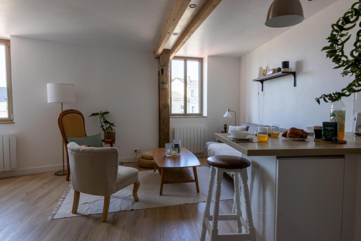 Suitetrails - APPARTEMENT DUPLEX SAUMUR CENTRE, refait à neuf, à proximité du château