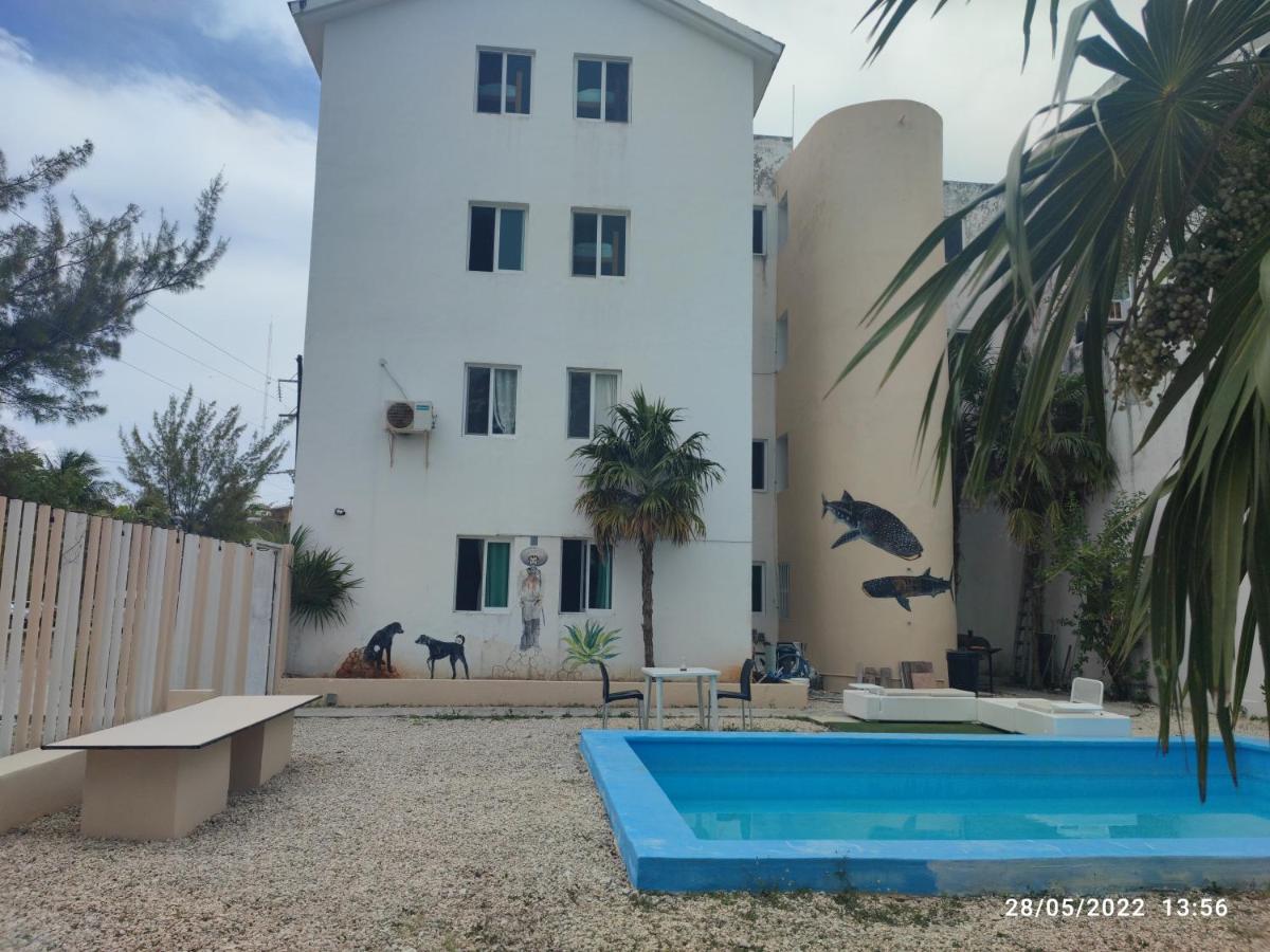 Punta Sam - Housity