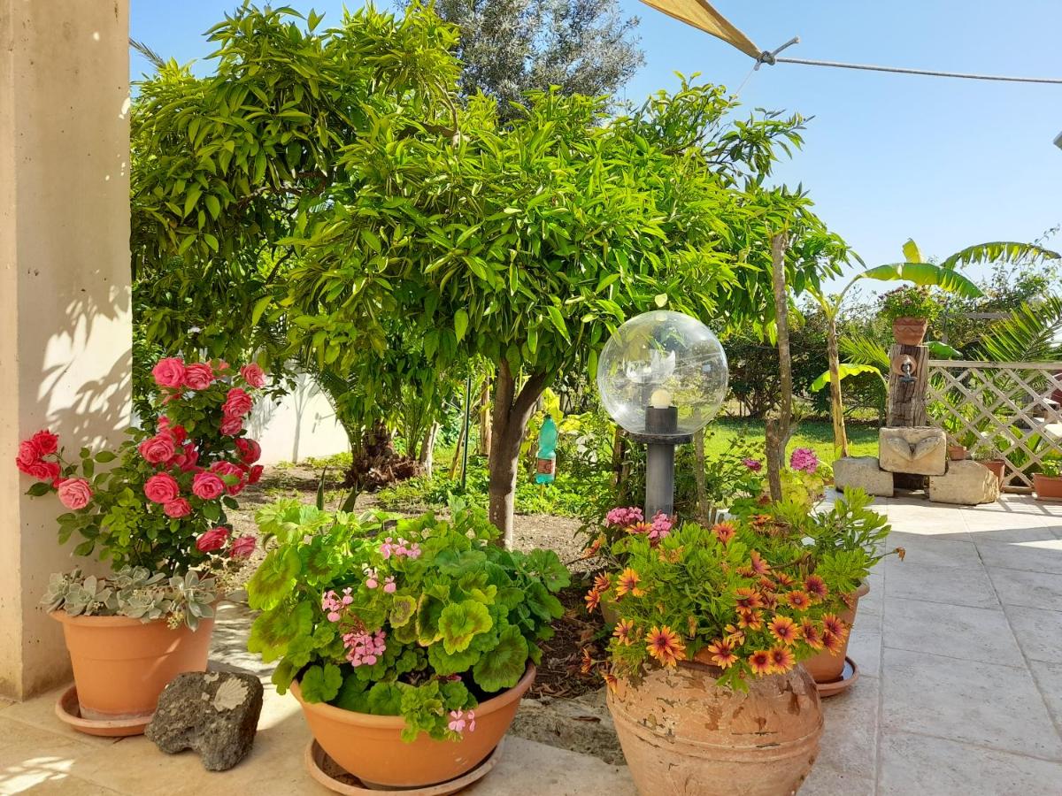La pomelia - Housity