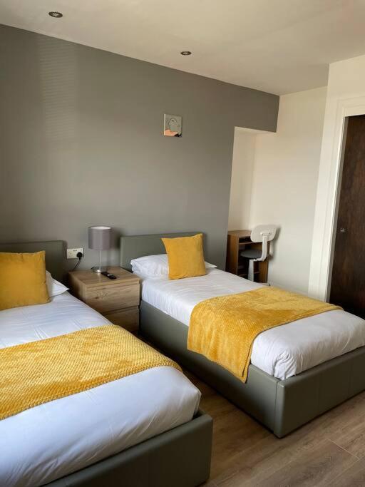 Alma Apartment - Housity