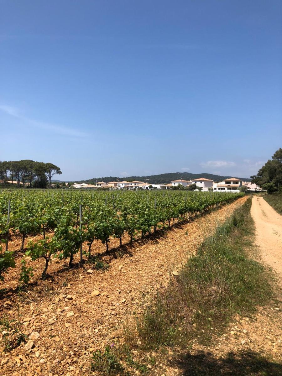 EDEN HOUSE entre vignobles et mer très bel appartement dans villa - Housity