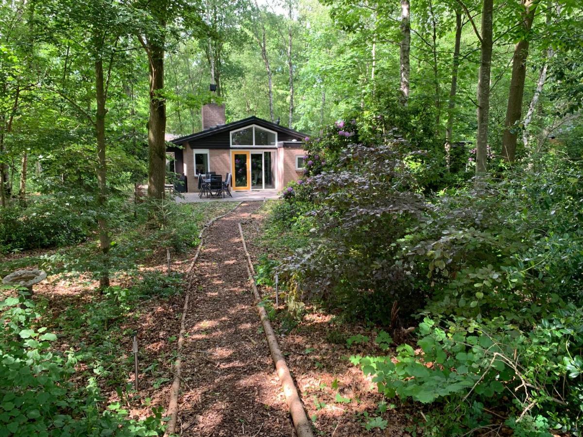 Lodge Nature Zen - Vrijstaand 5p familiehuis met bos, rust en vermaak oa faciliteiten Capfun met zwemmeer etc - Housity