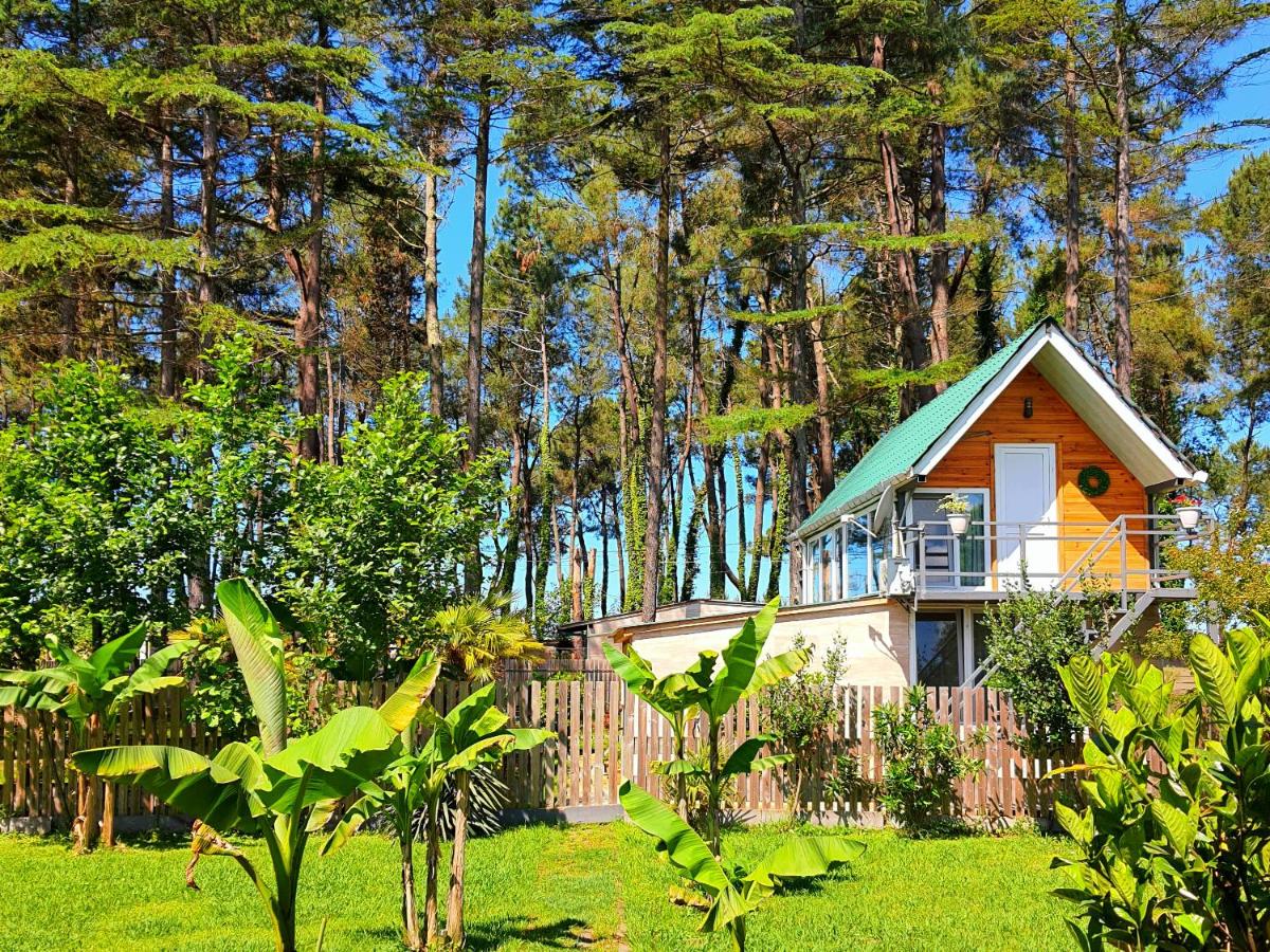 House & Yard Sesil S 70m to beach - Housity