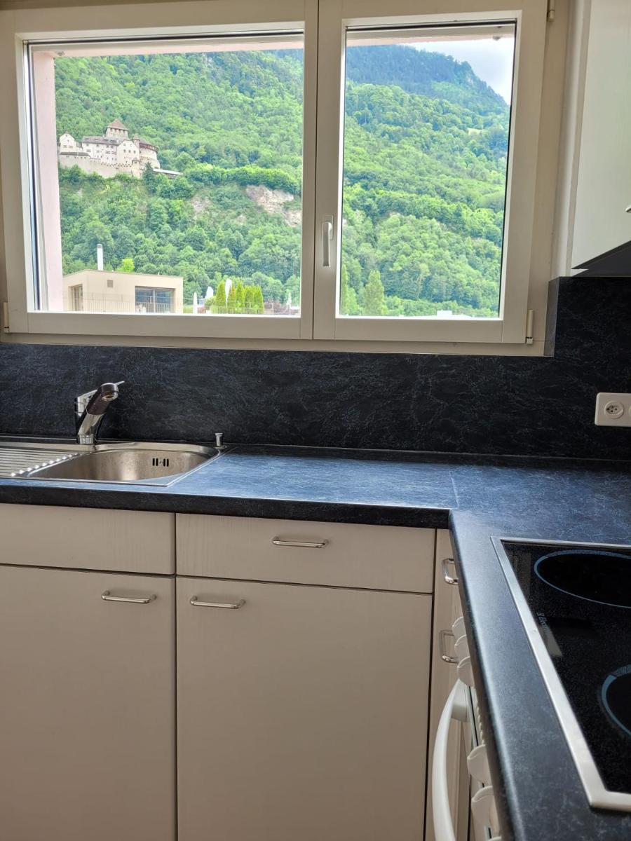 Schöne grosse Attika-Wohnung im Zentrum von Vaduz inkl. Parkplatz - Hizvo