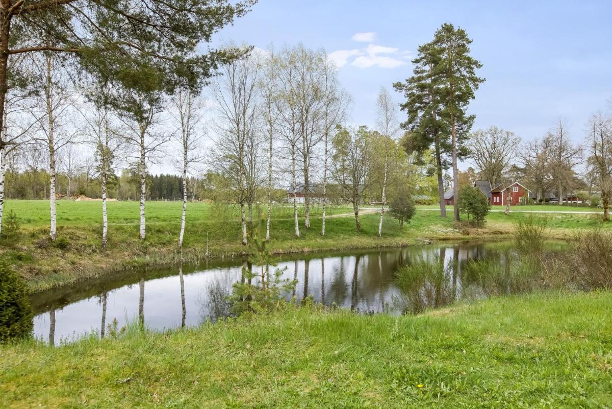 Cozy cottage with nature and grazing animals just around the corner - Housity