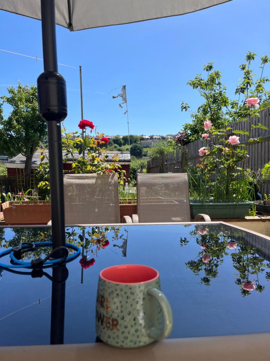 Apartment with shared garden and basic equipments - Housity