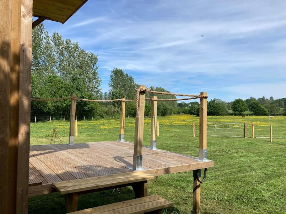 Neddys Rest Luxury Horsebox Stay - Housity