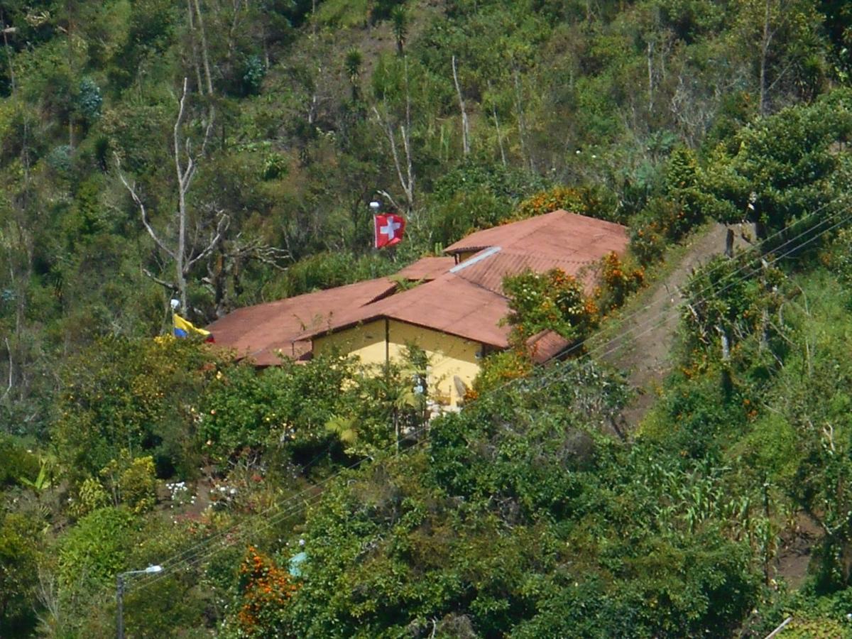 La Casa Amarilla - Housity