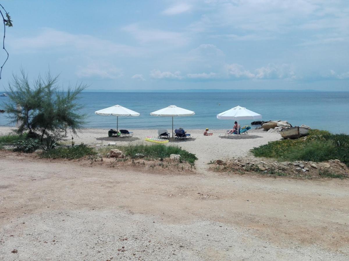 Porto Almira Beachfront Apartments - Housity