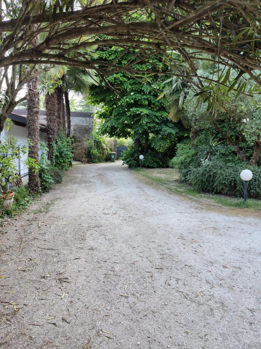 VillaLuigia - Oasi le Palme - Housity