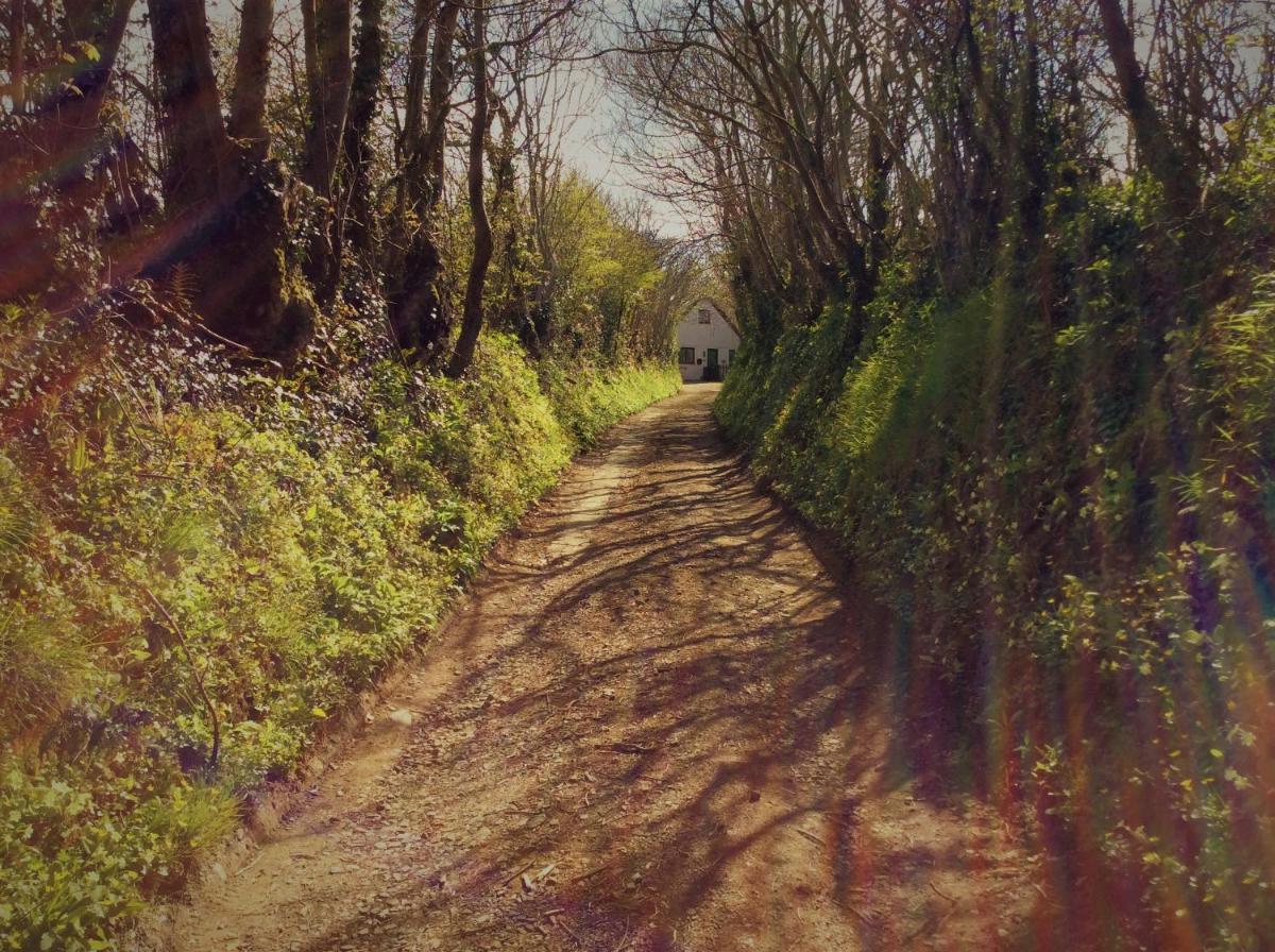 Bosvean House Bed & Breakfast - Housity