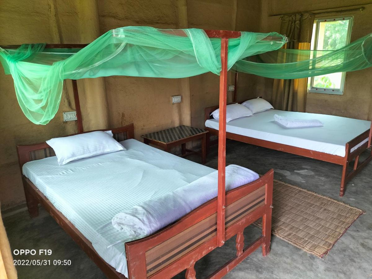 Wild Route Eco Homestay - Housity