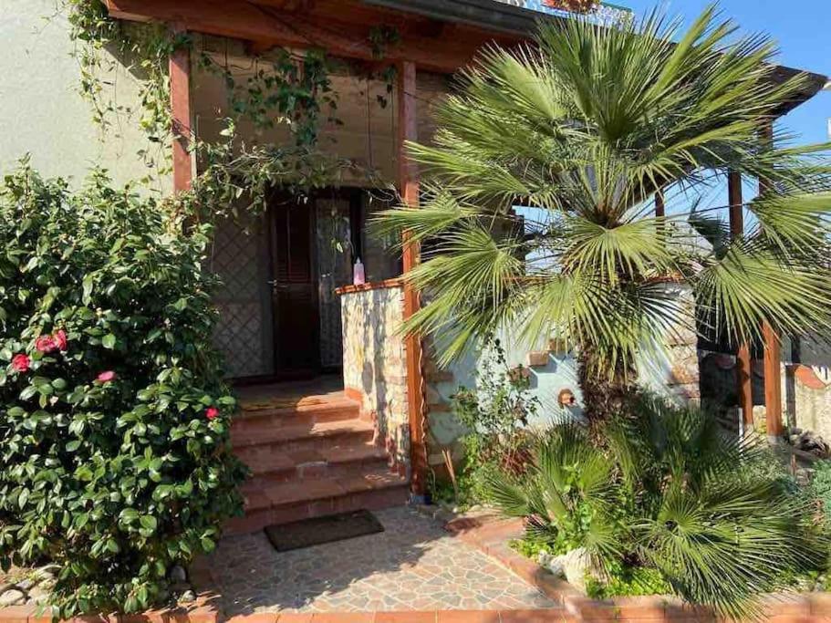 Casa Nonna Bianca- appartamento pratico a pochi minuti da Napoli - Housity