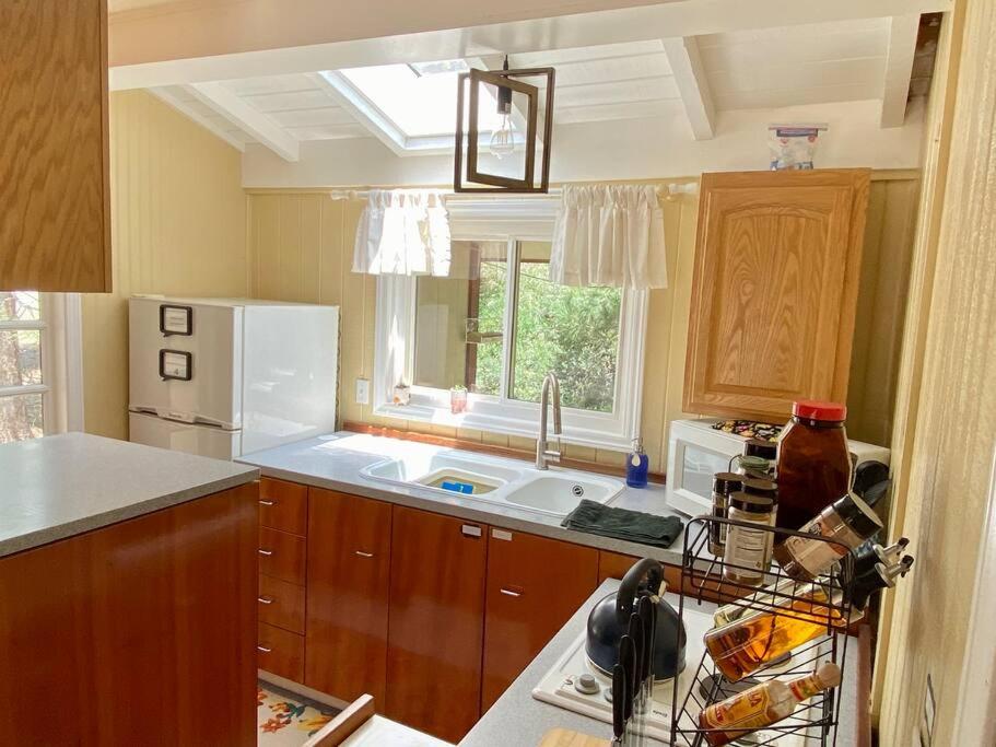 Snow Bunny Cottage, Pets Welcomed! - Housity
