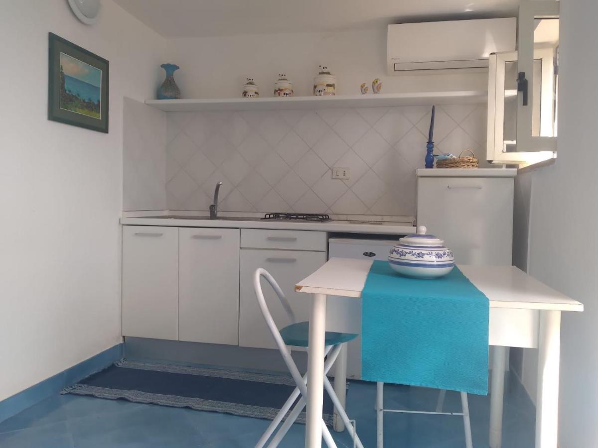 The Seaside Tiny House - Housity