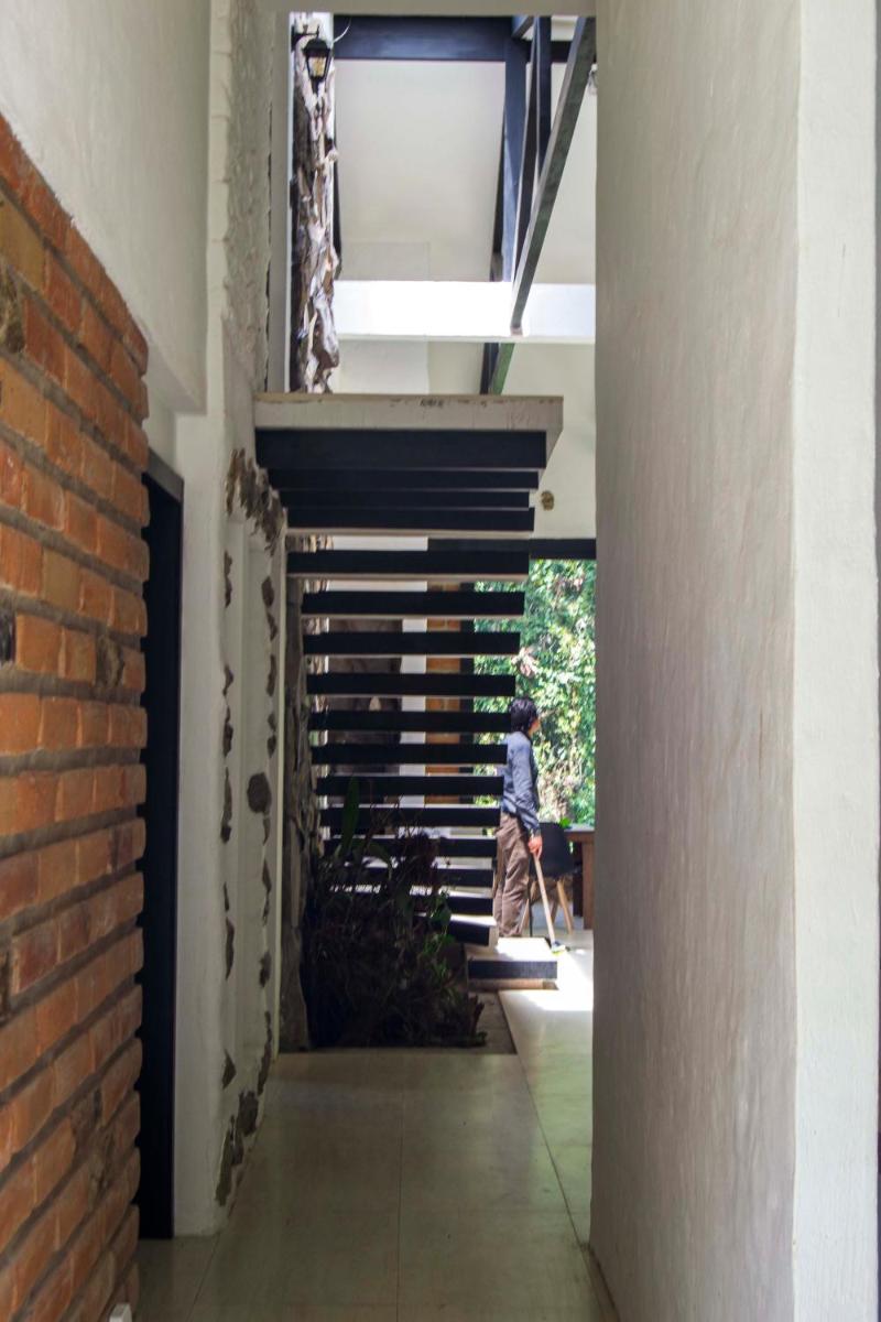 Neblina Bird - Housity