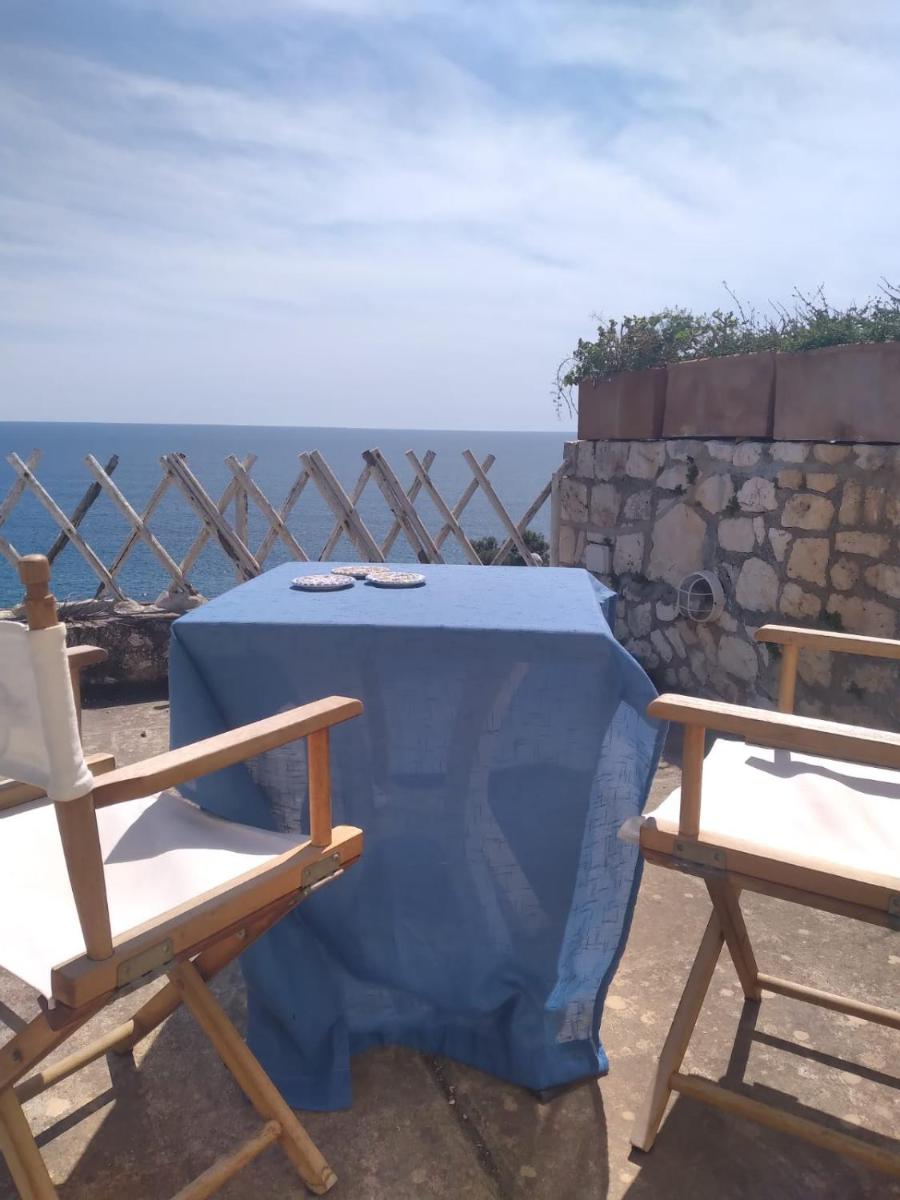 The Seaside Tiny House - Housity