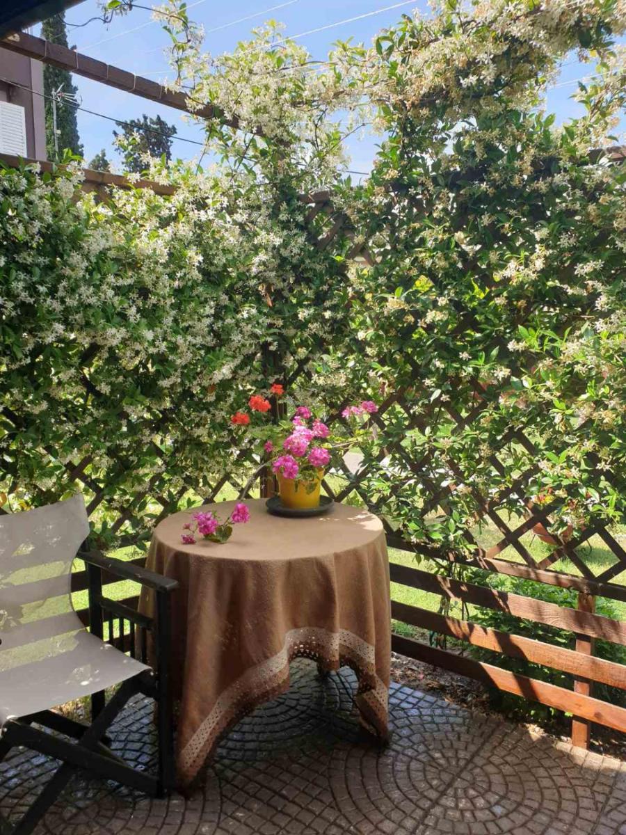SMALL COTTAGE ASTERIA - Housity