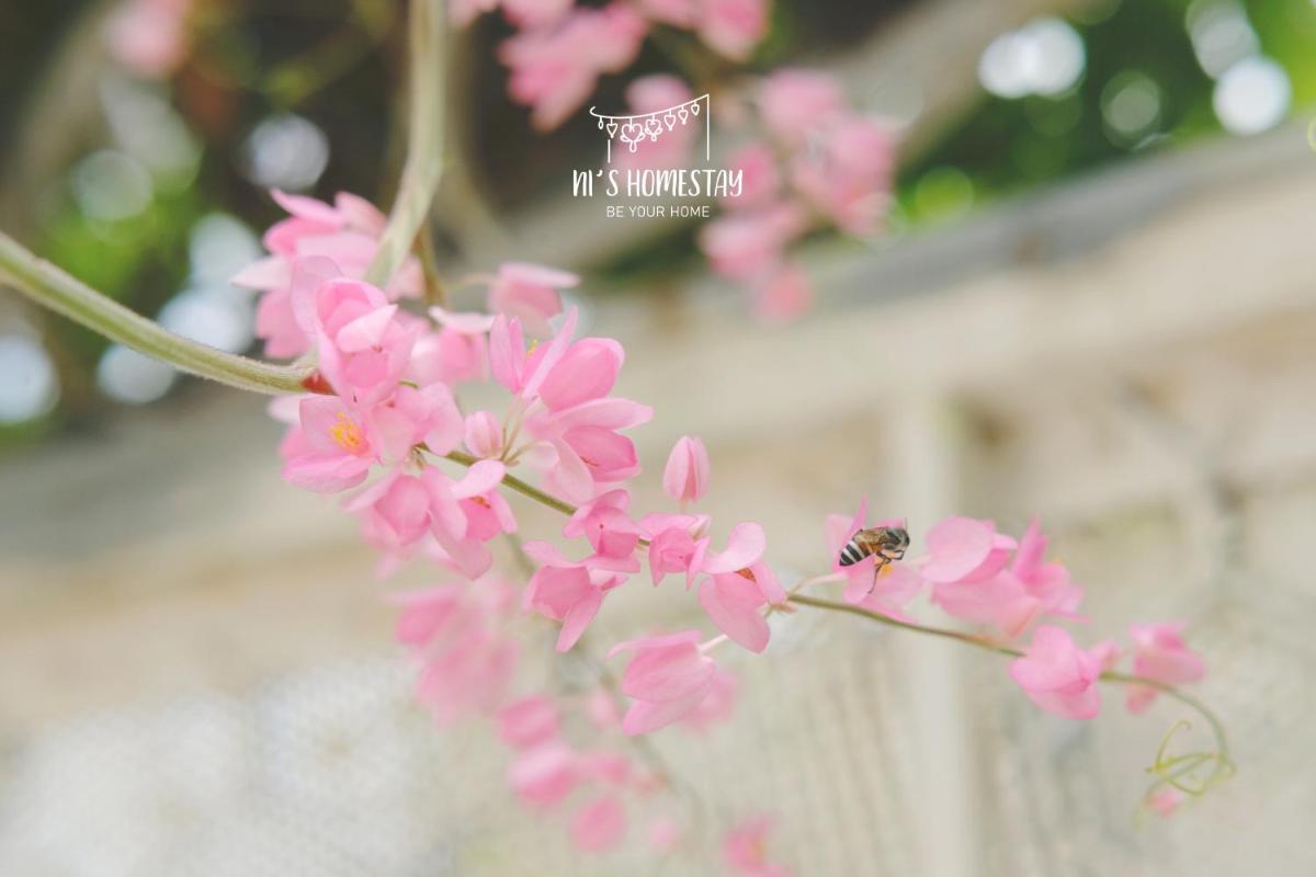 Ni's Homestay - Housity