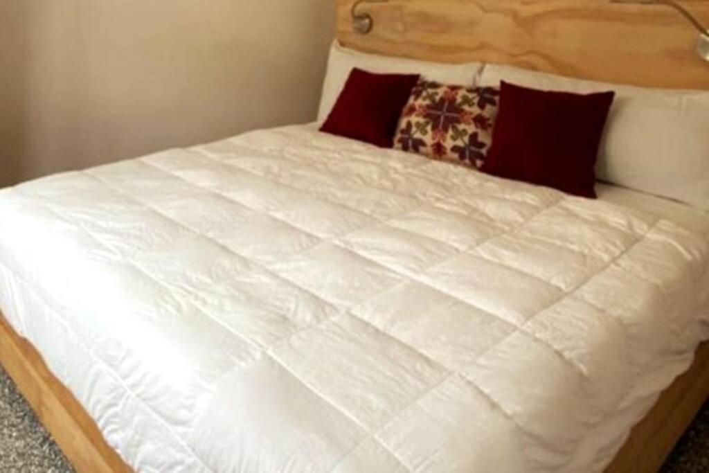 118 SUITES DONCELES CENTRO HISTÓRICO CDMX - Housity