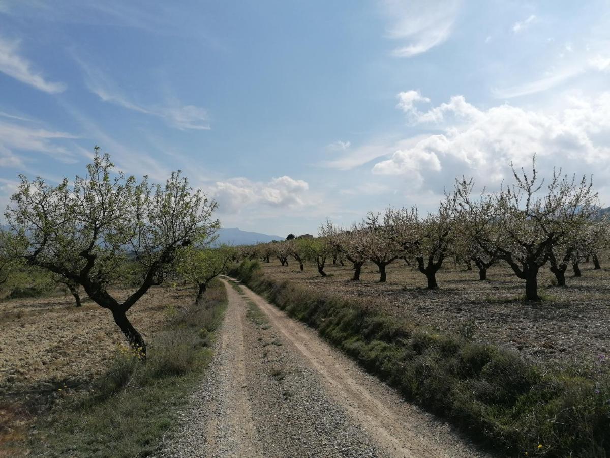 Habitaciones en Finca Olivo y Almendro - Housity