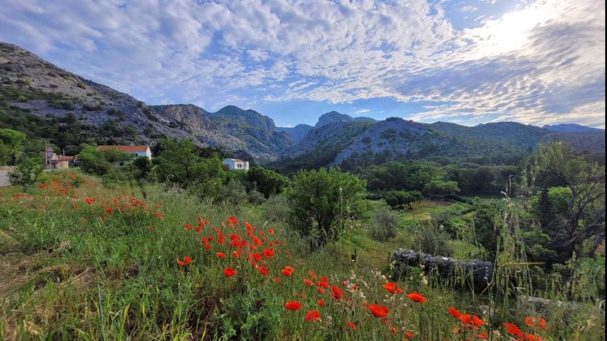 Apartments Paklenica - Housity