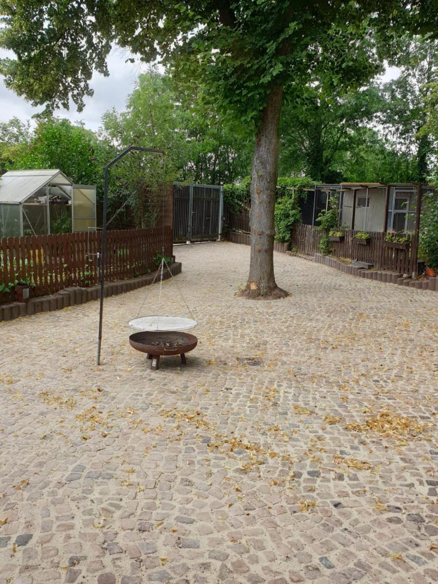 Ferienwohnung Lindenhof, zentrumsnah mit Terrasse und Grillmöglichkeit - Housity