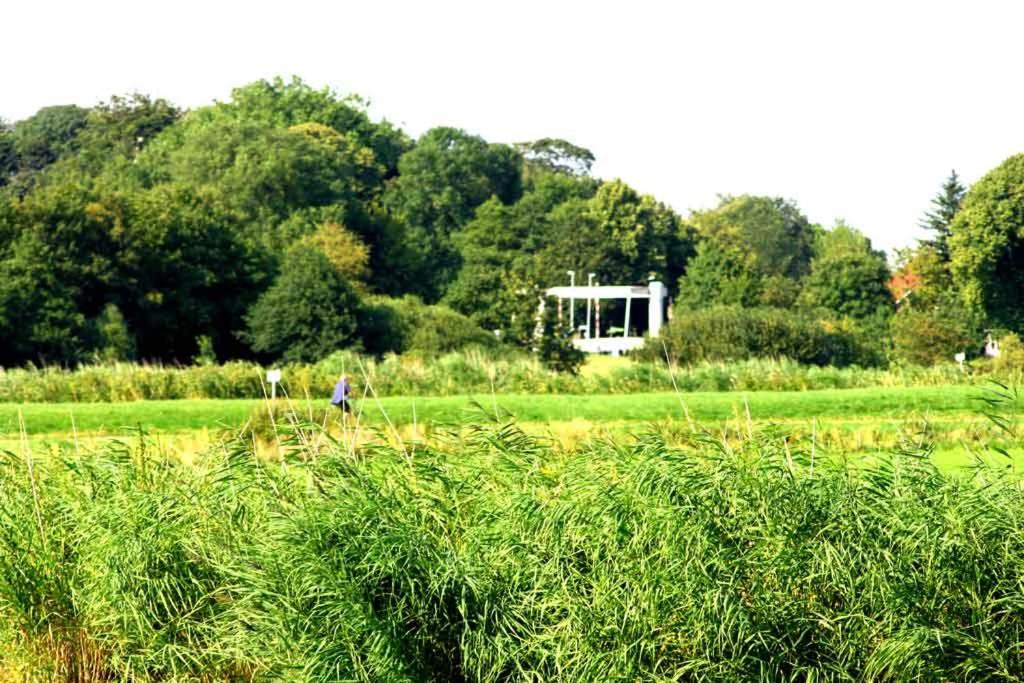 Suitetrails - Ferienhaus Lüttje Swaan