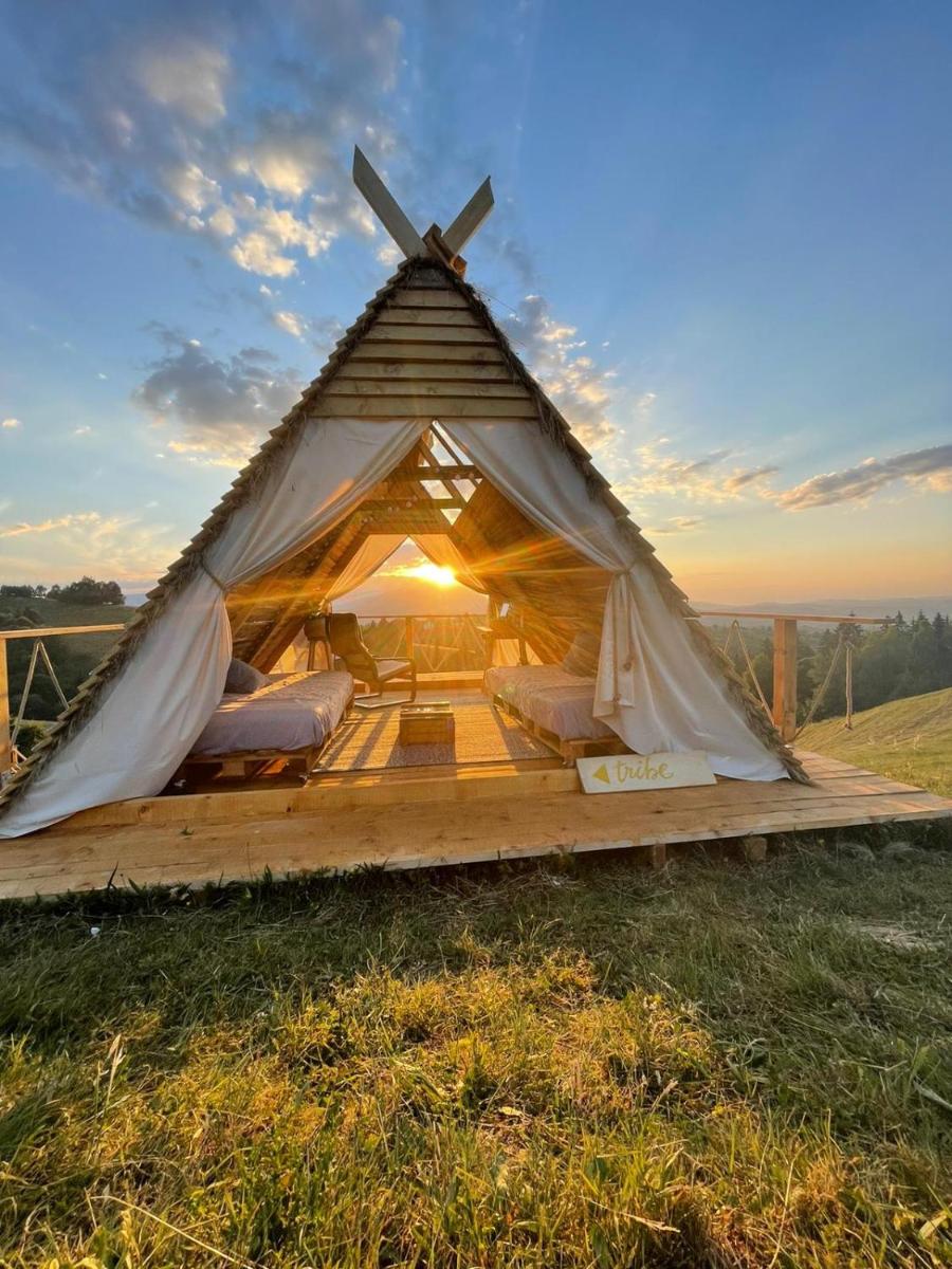 Nomad Ecovillage - Housity