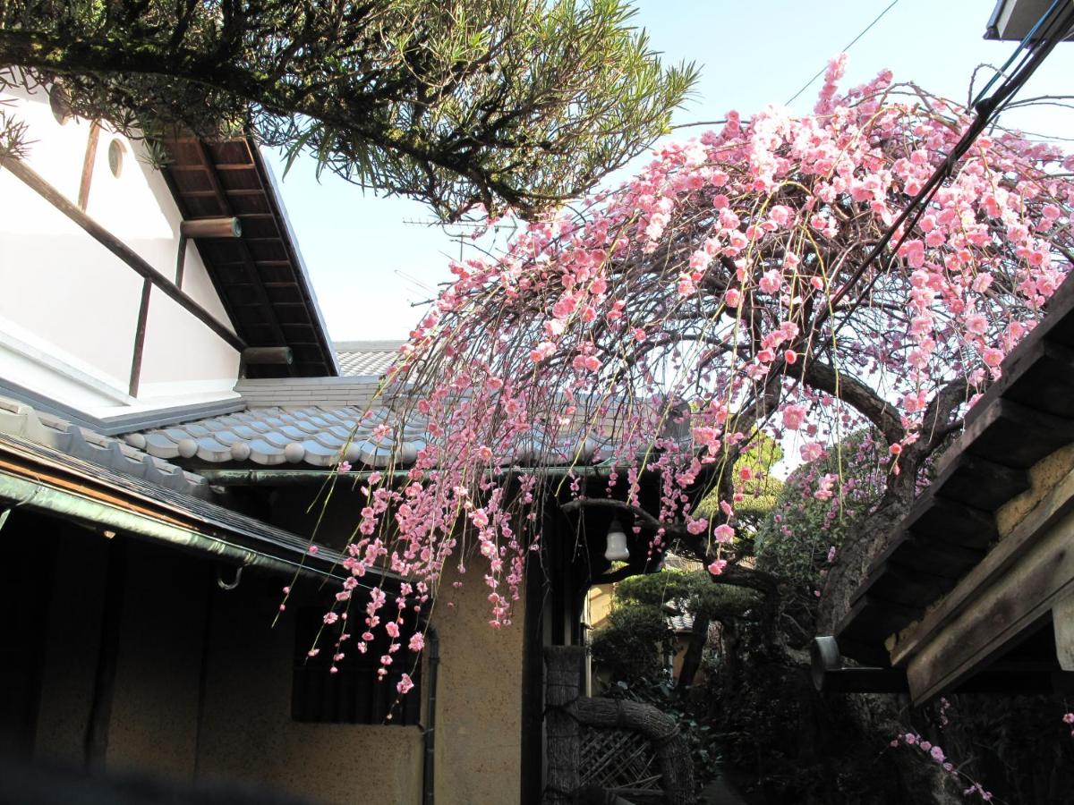 Guesthouse Nara Backpackers - Housity