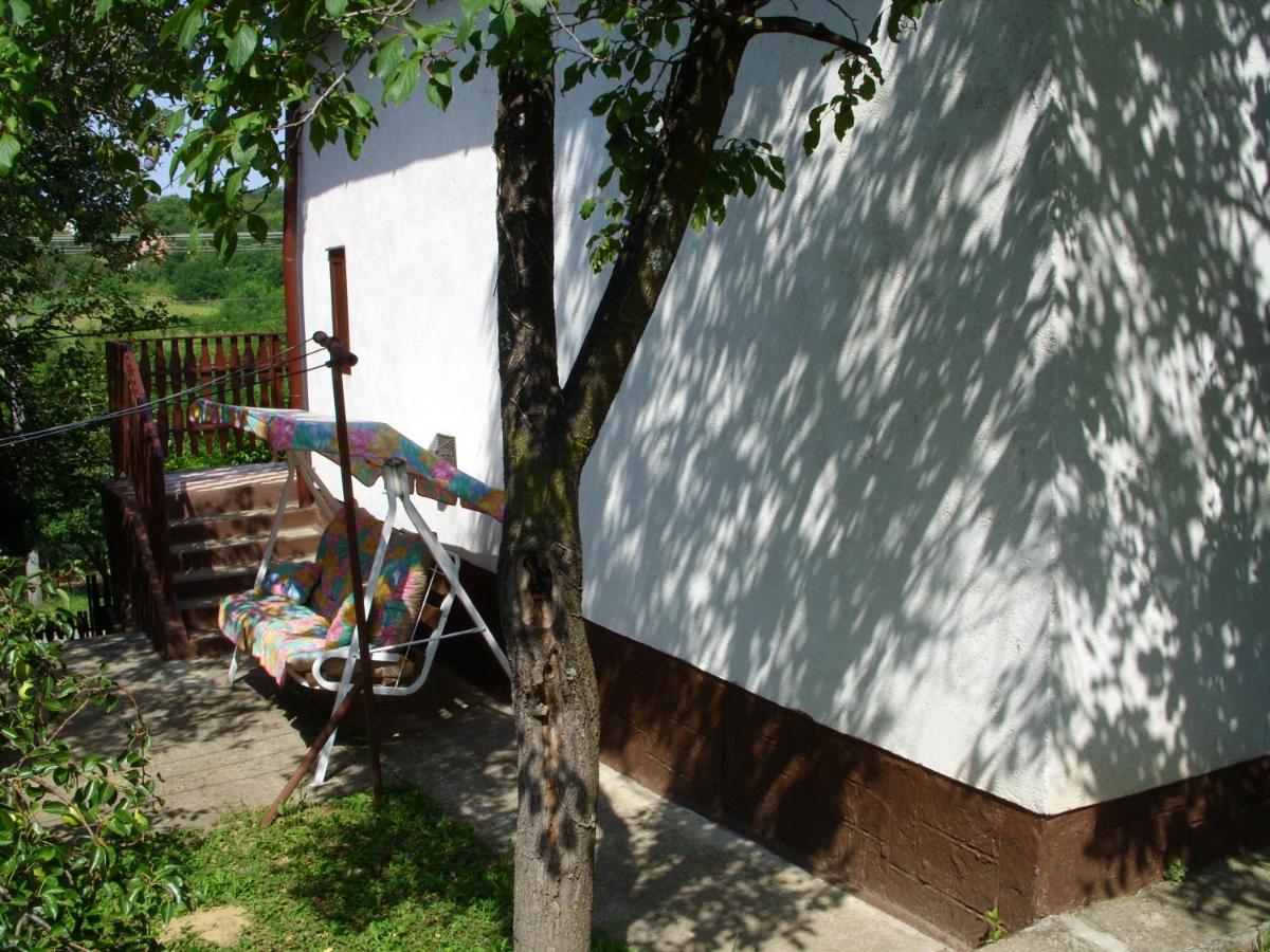 Orgona apartman - Housity