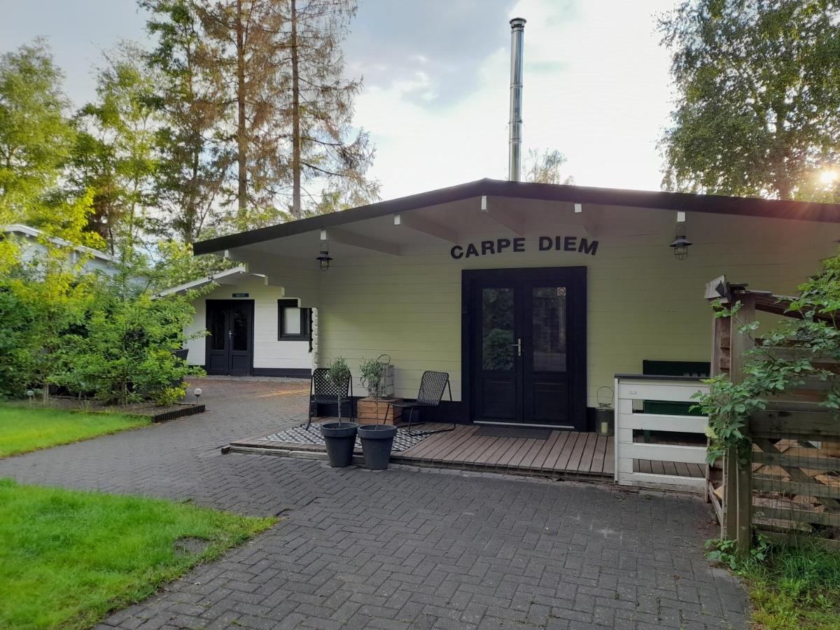 Ruim chalet met houtkachel nabij Wildlands Emmen - Housity