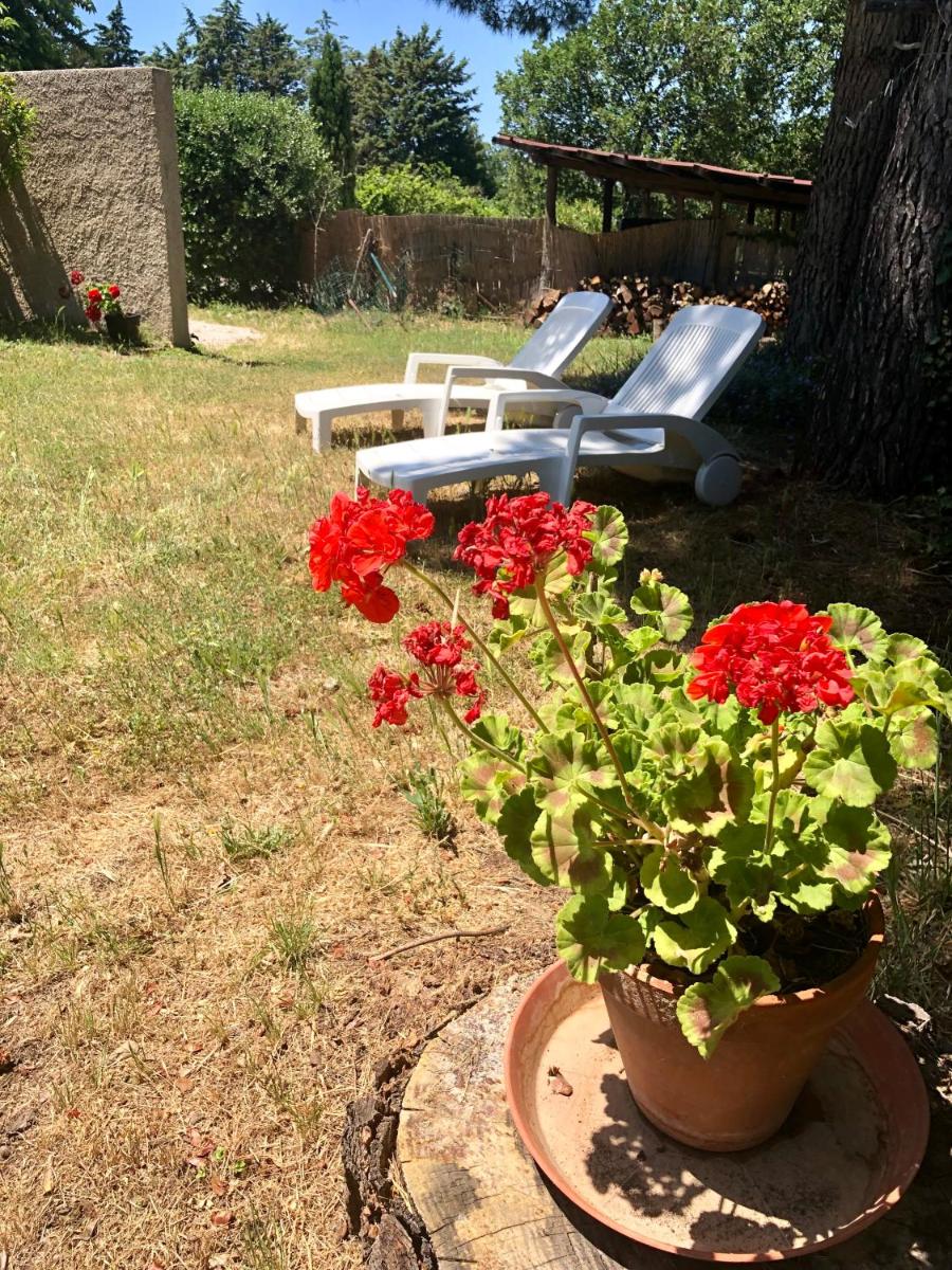Belle maison près de la mer - Jardin privatif - Housity