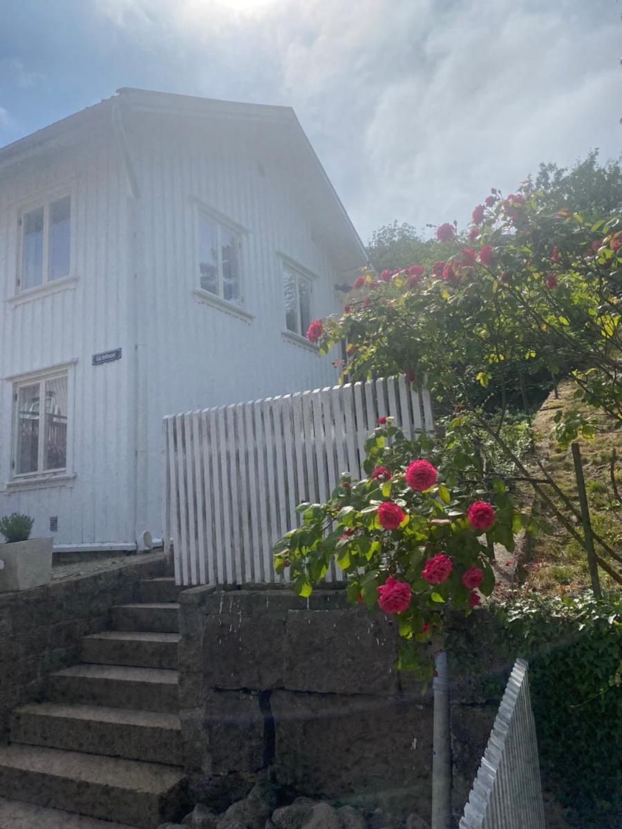 Cozy house in central Lysekil, 4-6 beds - Housity