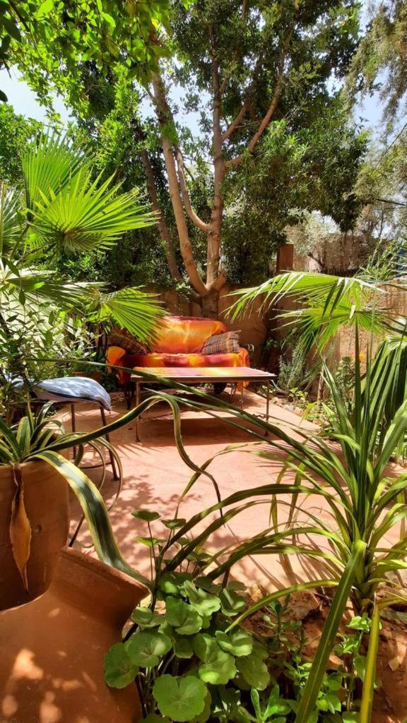 DAR OUZOUD Vegan - Housity