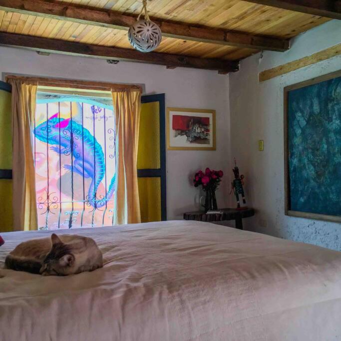 Casa Cerrillo - Housity