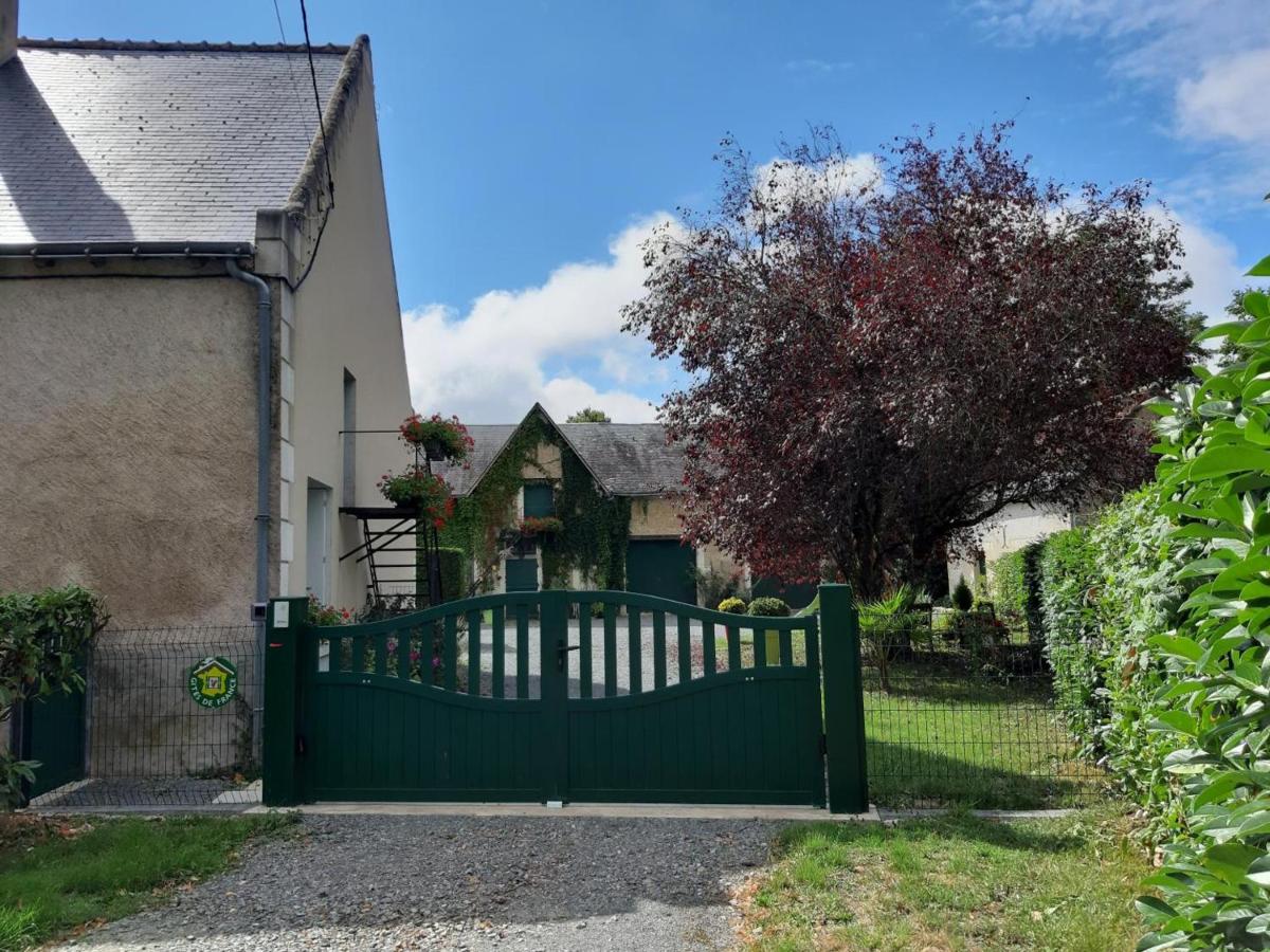 Maison de campagne rénovée avec jardin clos, proche Tours et grands sites du Val de Loire - FR-1-381-97 - Housity
