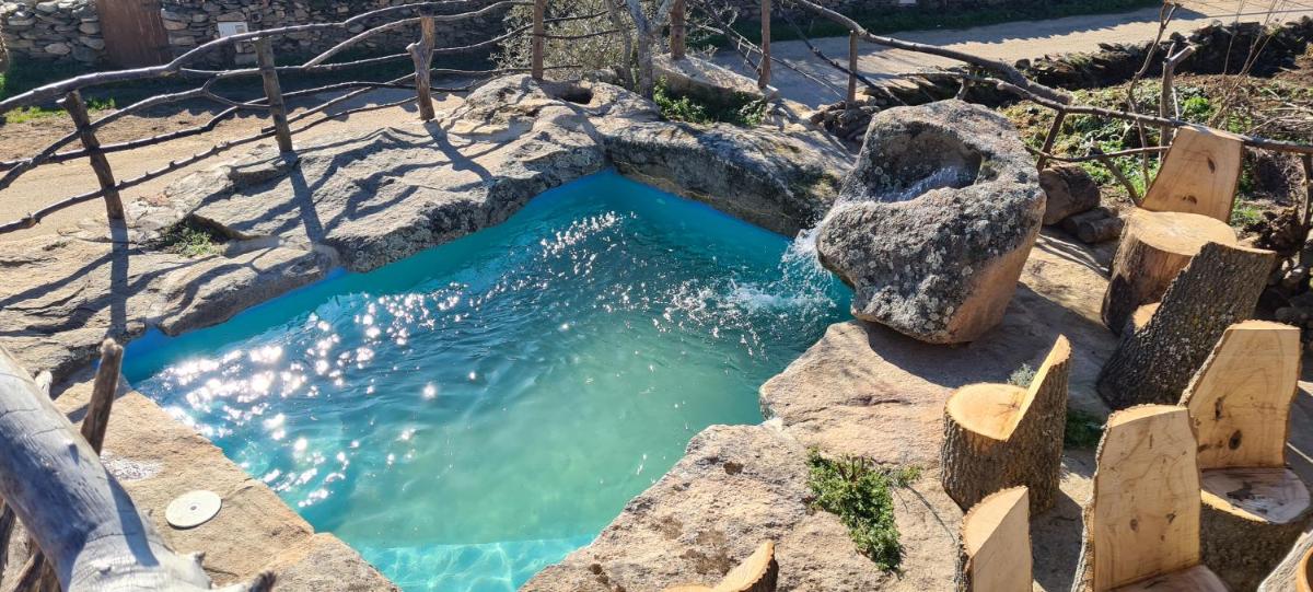Piscina en o cerca de Orgullo Rural