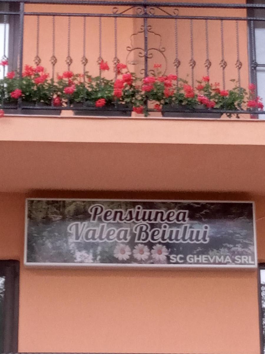 Pensiunea Valea Beiului - Housity